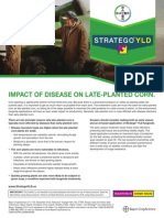 2013 Stratego® YLD Impact of Disease on Late-Planted Corn Tech Sheet