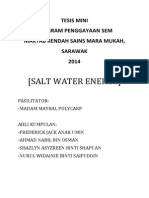 Salt Water Energy