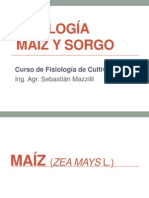 Maiz y Sorgo FC 2012