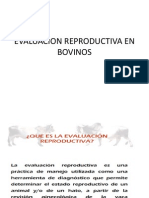 Evaluacion Reproductiva en Bovinos