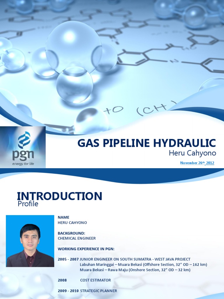 Gas Pipeline Hydraulic Engineering Guide | PDF | Gases | Natural Gas
