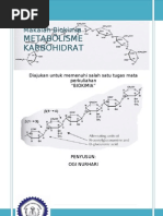 Download Metabolisme Karbohidrat Bio Chem - Ogi NH by OuGhie Nh SN23224854 doc pdf