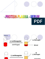 Protein Serum S1