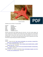 Mosaic Sea Star