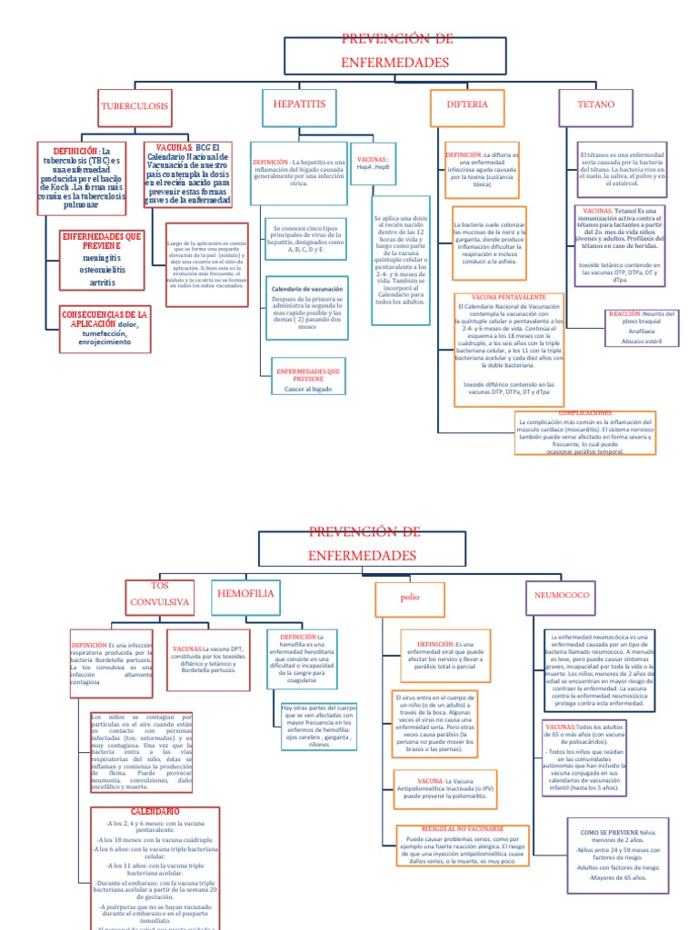 Mapa Conceptual Enfermedades Vacunas Salud pública