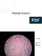 Praktikum-Patologi Anatomi