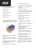 Trabalho IIunidade EJAEMcitologia