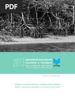 Relatorio Aguas Superficiais 2013 Parte2