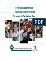 Encuesta Calidad de Vida 2008 - Perfil Comuna 11