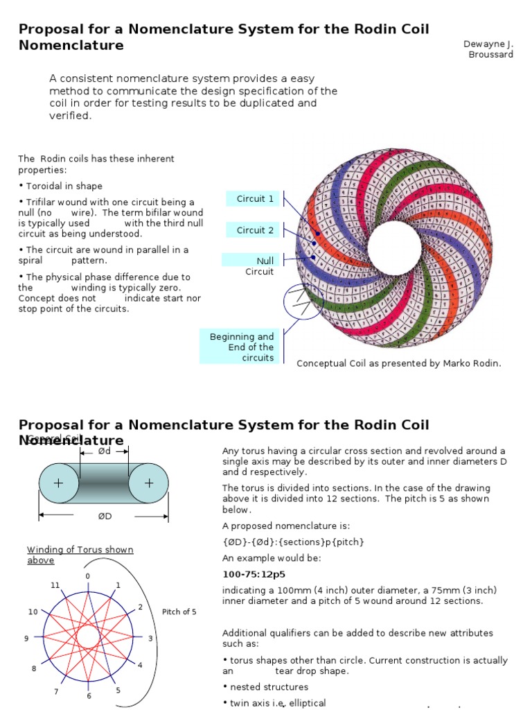 Rodin Coil Nomenclature Proposal PDF Teaching Mathematics Nature