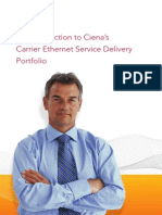 Ciena Carrier Ethernet Service Delivery Portfolio A4 PB