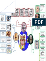 Mapa Mental Complejo Dentino-Pulpar