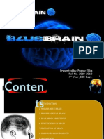 Blue Brain