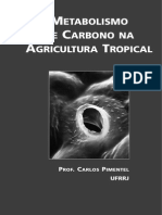 Metabolismo de Carbono Na Agricultura Tropical