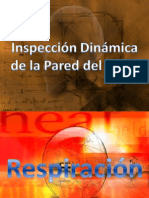 Inspección Dinámica