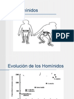 3 Hominidos