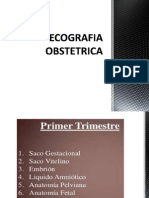 Ecografia Obstetrica