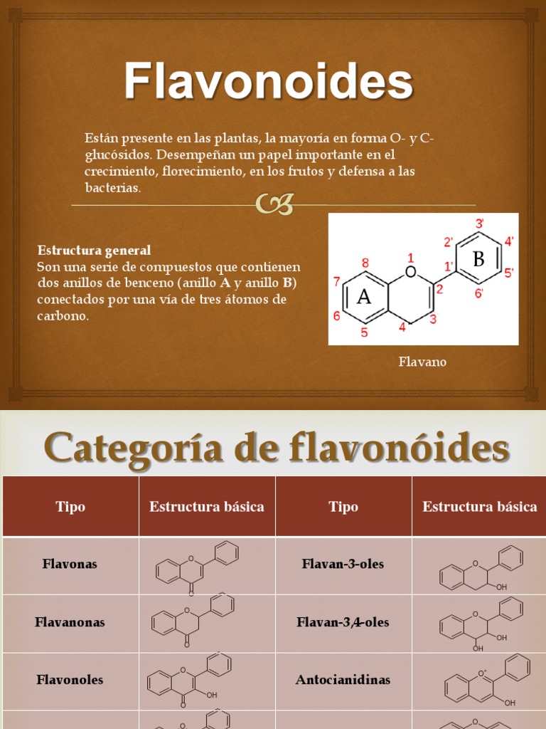 Flavonoides Final | PDF | Flavonoide | Cromatografía líquida de alto ...