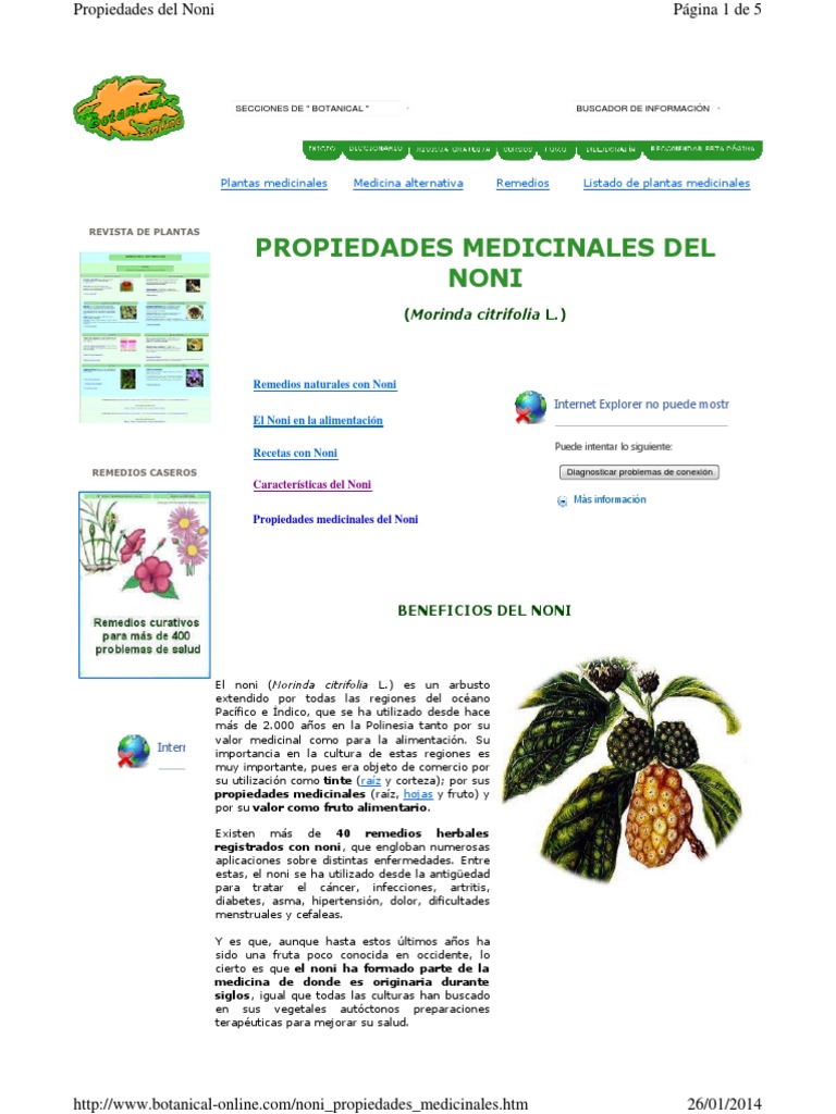 Noni Propiedades Medicinales PDF Antioxidante Plantas medicinales