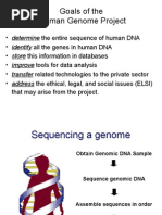 Lecture 12 Human Genome Project