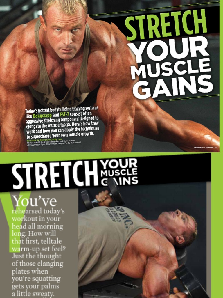 Stretching Techniques for Muscle Growth | PDF | Muscle | Soft Tissue