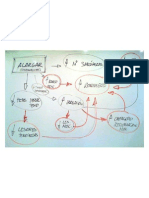 Esquema Estiramientos