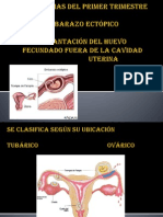 Hemorragias 1 y 2 Trimestre