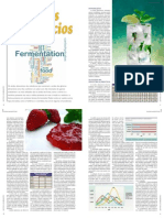 Acidos Alimenticios Fermentaçao