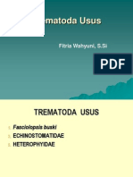 Trematoda - Usus