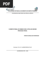 Direito Penal Do Inimigo Sob a Ótica Do Devido Processo Legal