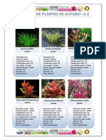Catálogo de Plantas de Acuario