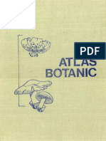 Atlas Botanic - High Quality