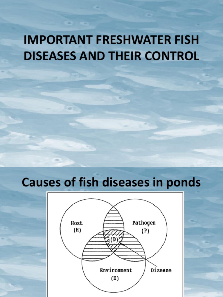 Freshwater Fish Diseases & Treatments | PDF | Fish | Diseases And Disorders