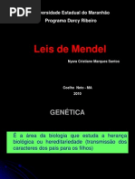 Leis de Mendel