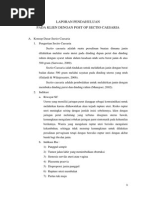 Download LAPORAN PENDAHULUAN PADA PASIEN POST PARTUM SCdocx by Nurul Aisyah SN232464311 doc pdf