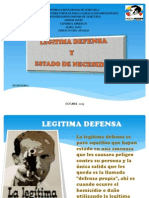 Prersentacion Legitima Defensa Expo.