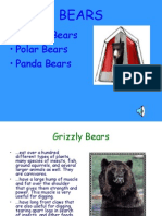Grizzly Bears - Polar Bears - Panda Bears