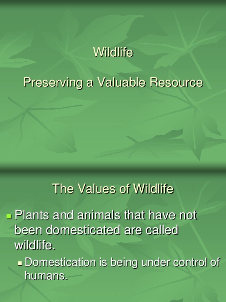 Wildlife Conservation | PDF | Conservation Movement | Conservation Biology