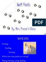 Wolf Facts: By: Mrs. Fraser's Class
