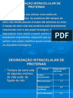 1-Degradação Intracelular de Proteínas