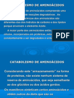 2-Catabolismo de Aminoácidos