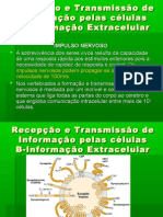 5º-Transmissão de informação extracelular