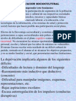 Deprivación Sociocultural