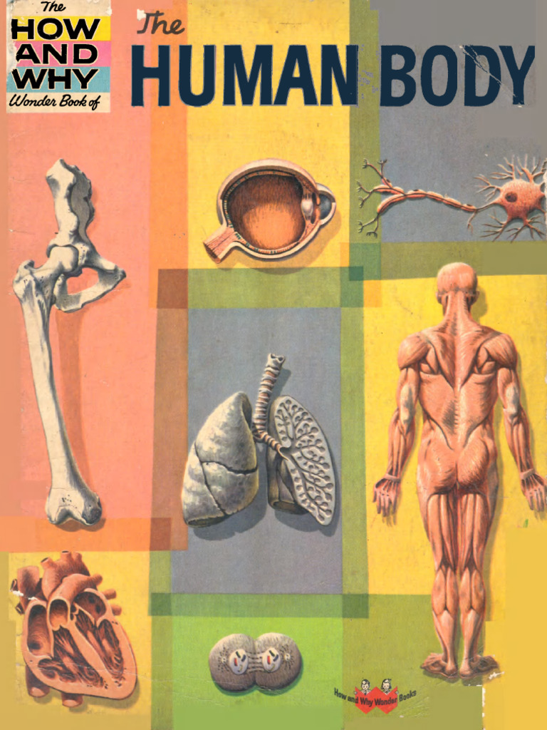 (1961) The How and Why Wonder Book of The Human