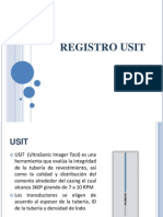 Registro Usit