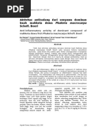 Download Aktivitas antiradang dari senyawa dominan buah mahkota dewa Phaleria macrocarpa Scheff Boerl by KaKang TrizNa SN232521538 doc pdf