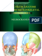 Praktikum Anatomi Sistem Muskuloskeletal Osteologi 1: Neurocranium