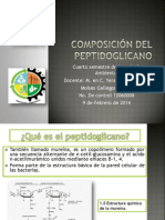 Composición Del Peptidoglicano