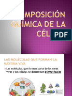 Composición Química de La Célula