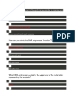 The Molecular Movement of The Polymerase Similar To Opening and Closing of The Hand